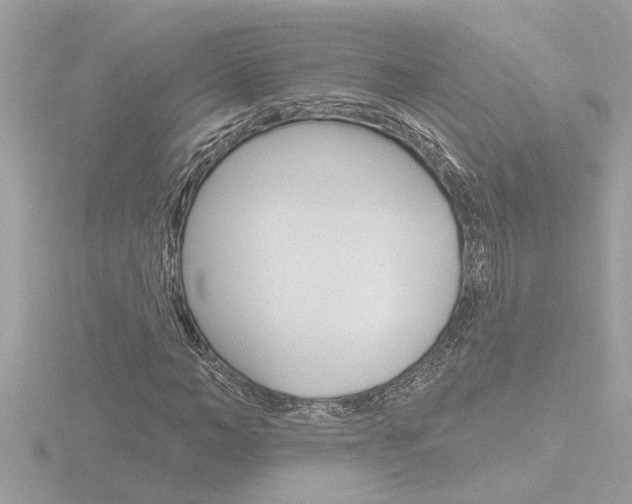 X0000116850966200912211055