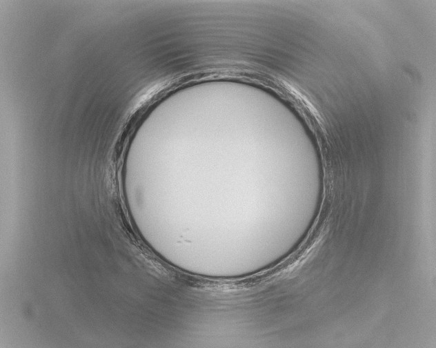 X0000116850970200912211055