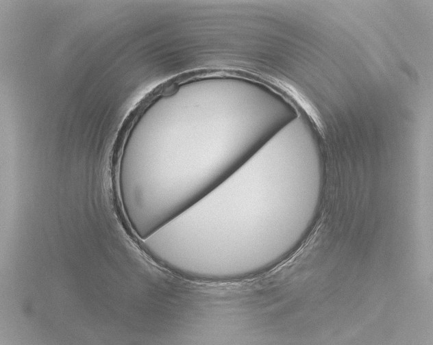 X0000116850972200912211055