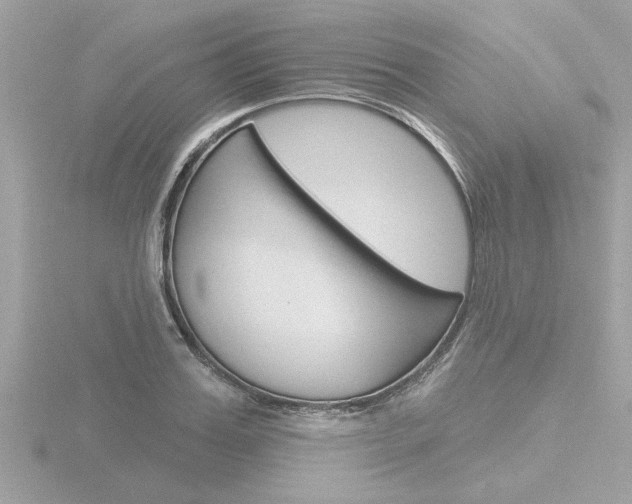X0000116850987200912211055