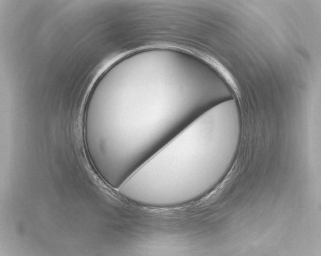X0000116851004200912211055