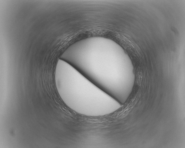 X0000116851010200912211054