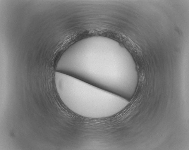 X0000116851012200912211054