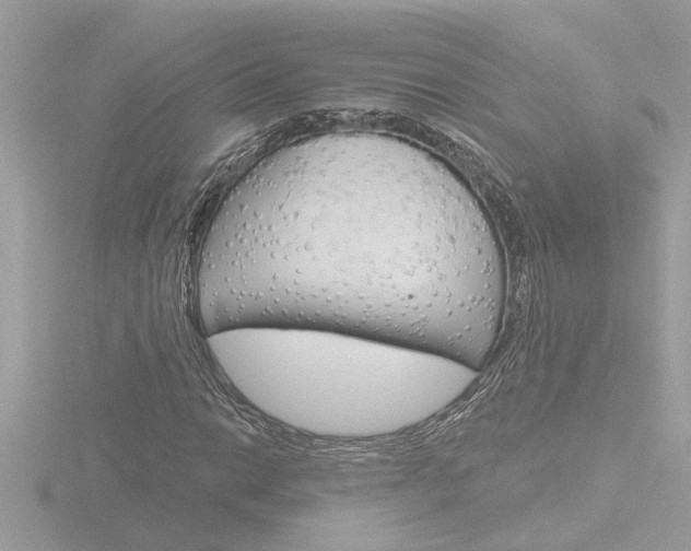 X0000116851014200912211054