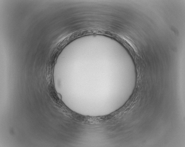 X0000116851015200912211054