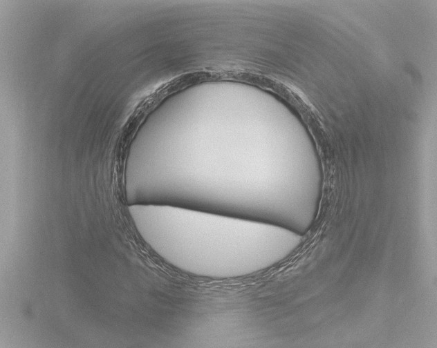 X0000116851016200912211054