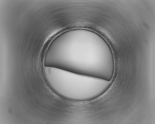X0000116851018200912211054