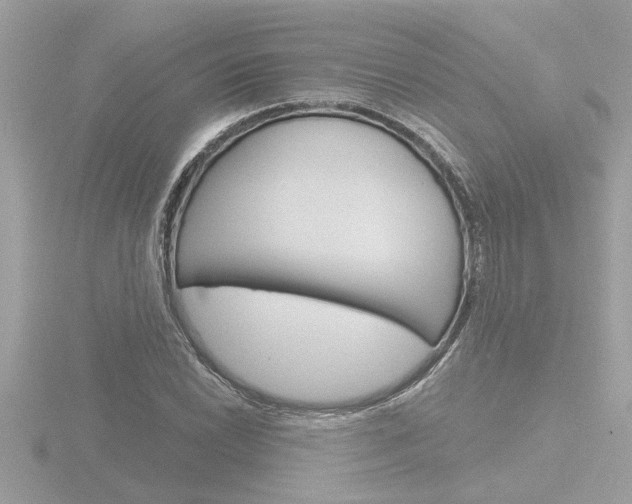 X0000116851022200912211054