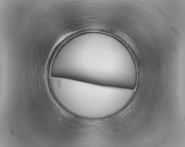 X0000116851024200912211054