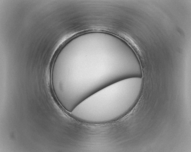 X0000116851032200912211054