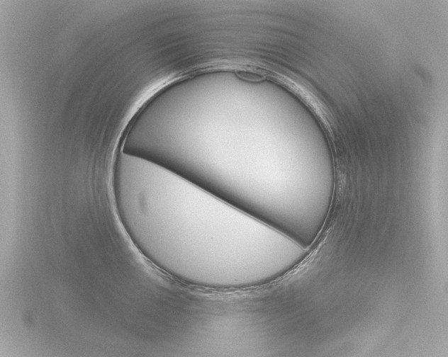 X0000116851050200912211054