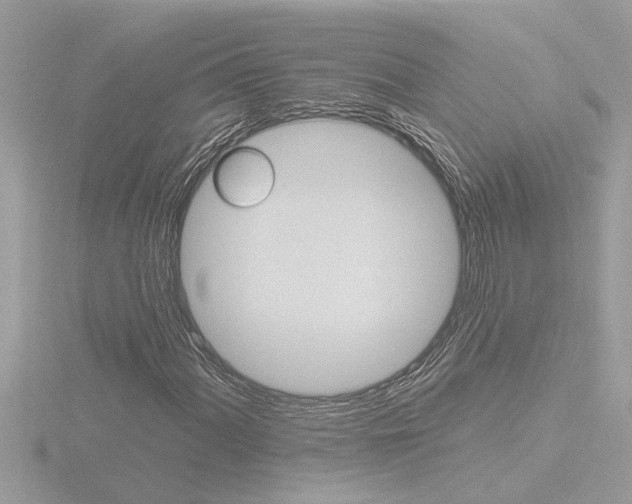 X0000116851060200912211053