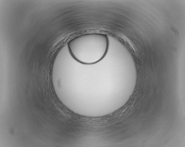 X0000116851064200912211053