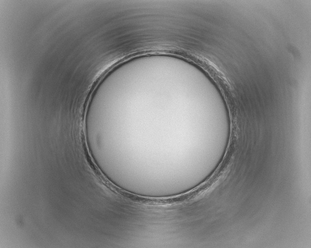 X0000116851073200912211053