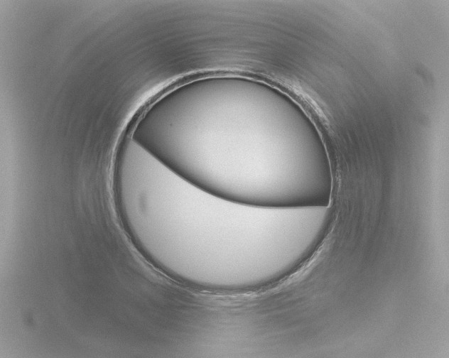 X0000116851077200912211053