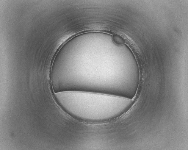 X0000116851081200912211053
