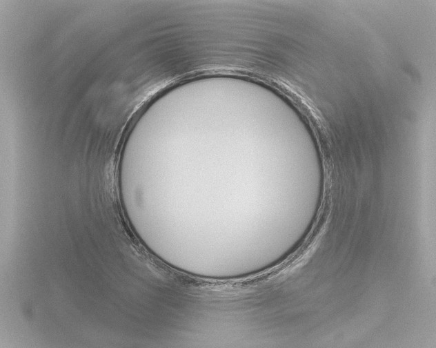 X0000116851121200912211052