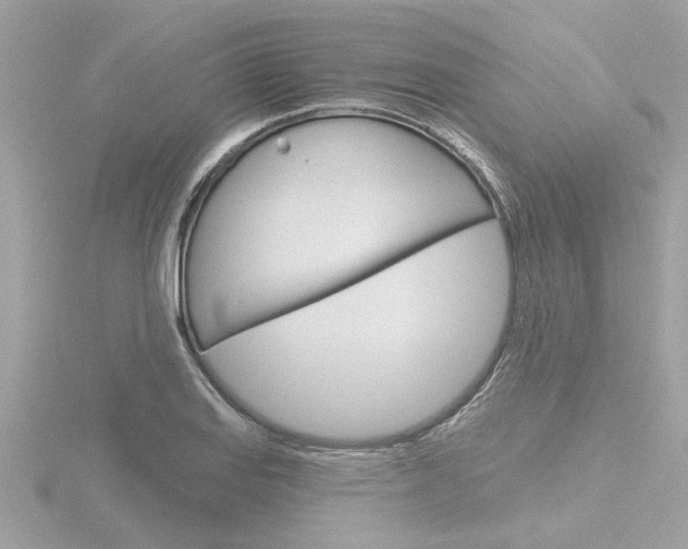 X0000116851127200912211052