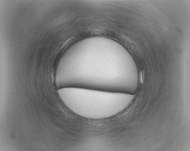 X0000116851155200912211052