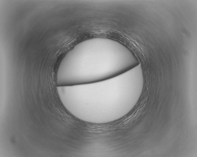 X0000116851156200912211052