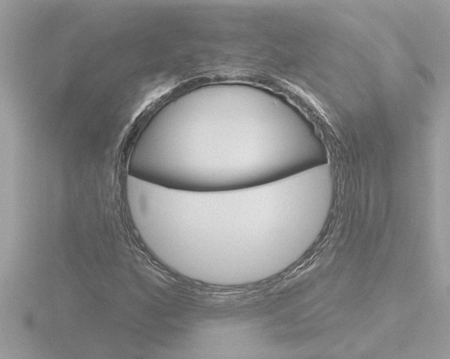 X0000116851160200912211052
