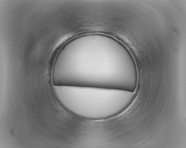 X0000116851163200912211052