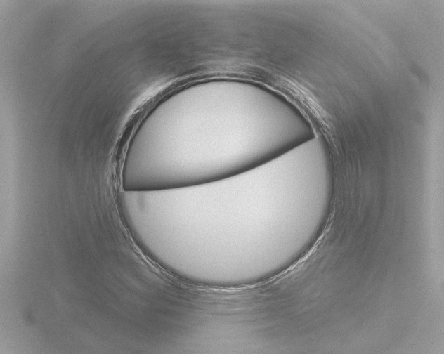 X0000116851164200912211051