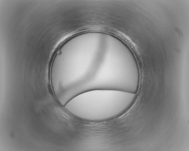 X0000116851174200912211051