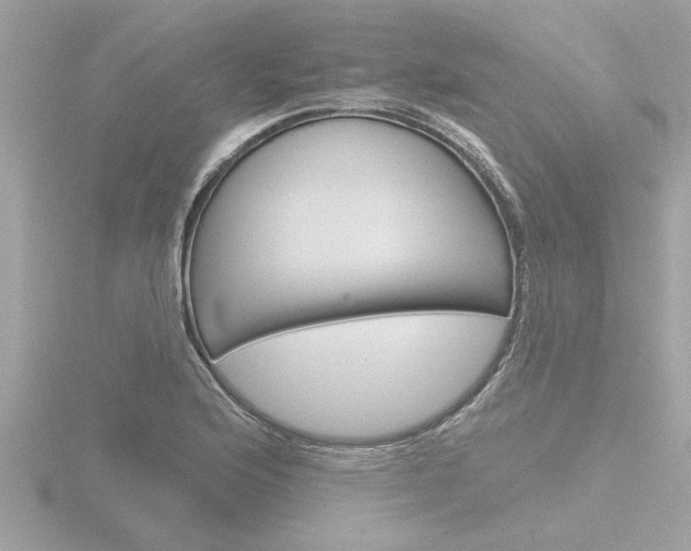 X0000116851176200912211051