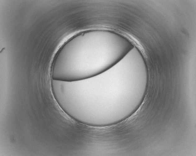 X0000116851192200912211051