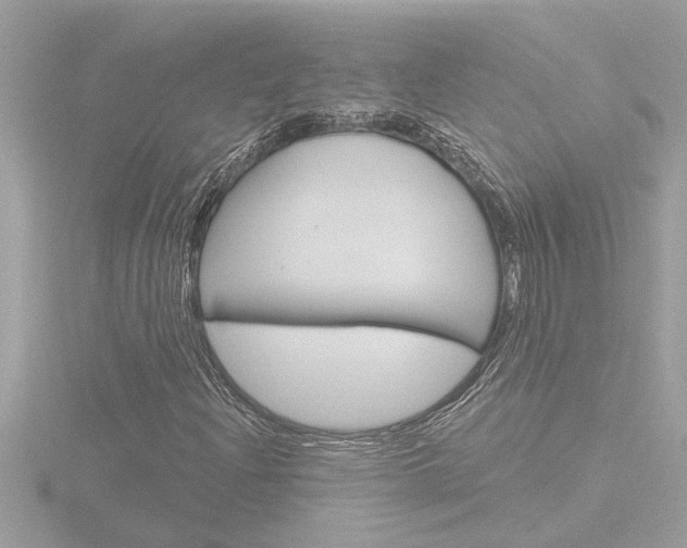 X0000116851204200912211050