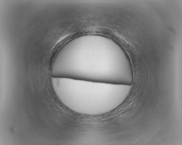 X0000116851206200912211050