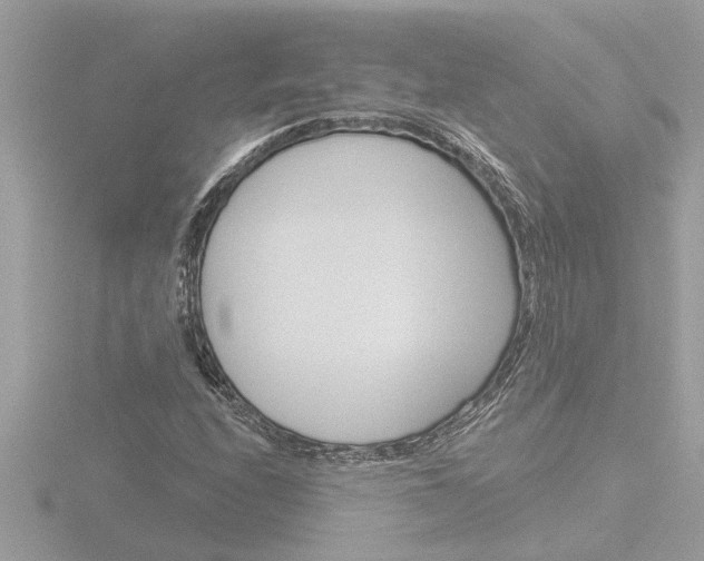 X0000116851208200912211050