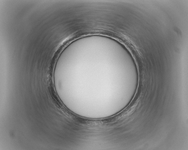 X0000116851210200912211050