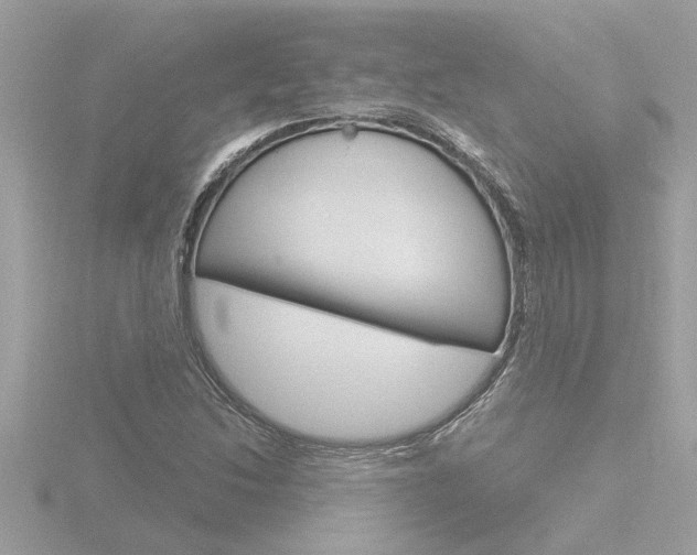 X0000116851214200912211050