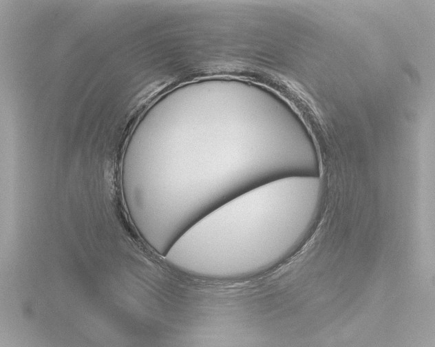 X0000116851217200912211050