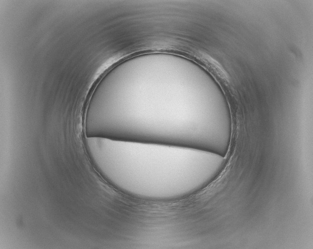 X0000116851226200912211050