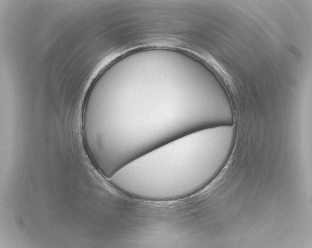 X0000116851240200912211051