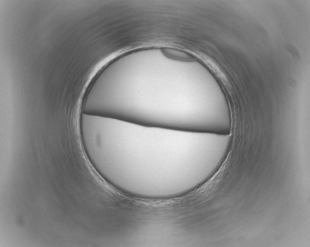 X0000116851246200912211051