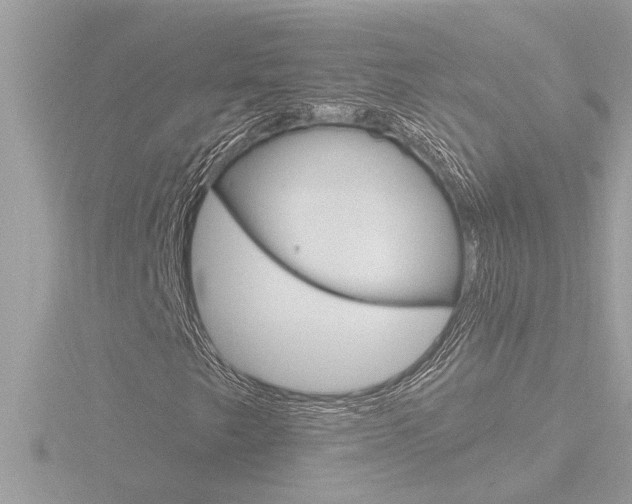X0000116851249200912211050