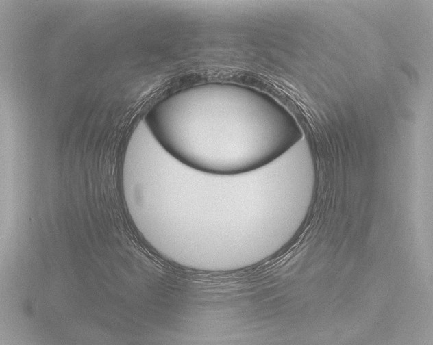 X0000116851252200912211050