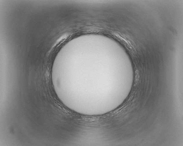X0000116851254200912211050