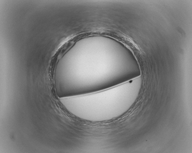 X0000116851256200912211050