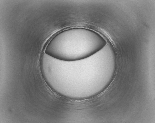 X0000116851260200912211050