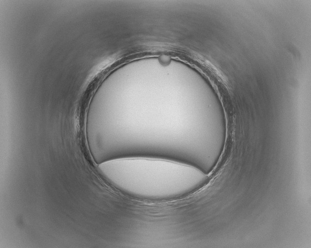 X0000116851261200912211050