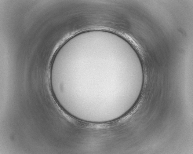 X0000116851286200912211049
