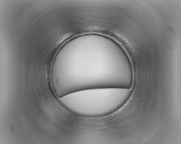 X0000116851305200912211048
