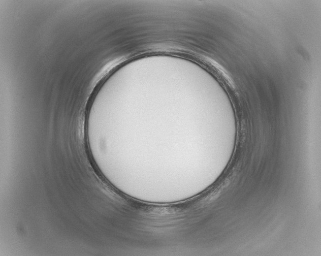 X0000116851322200912211049