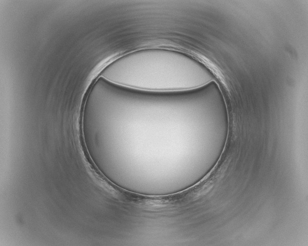 X0000116851330200912211049