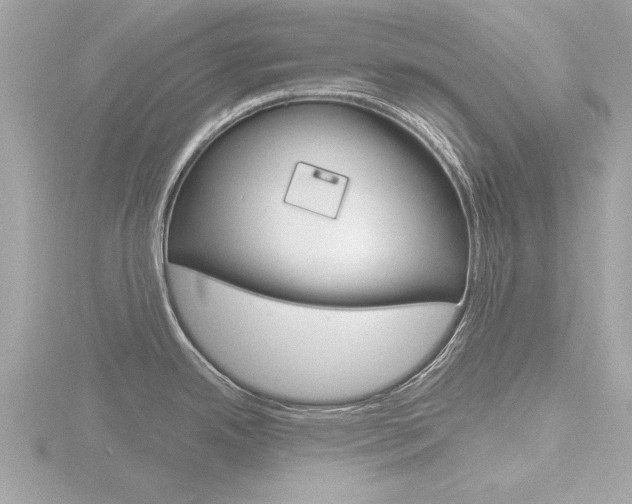 X0000116851342200912211049